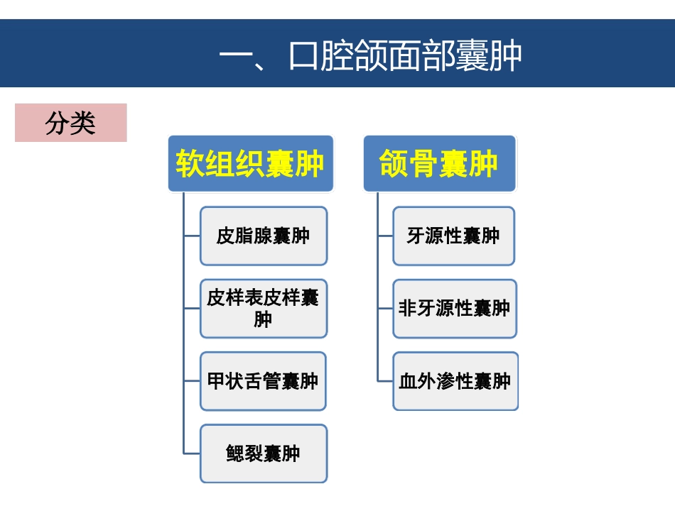 口腔颌面部囊肿及良性肿瘤_第2页