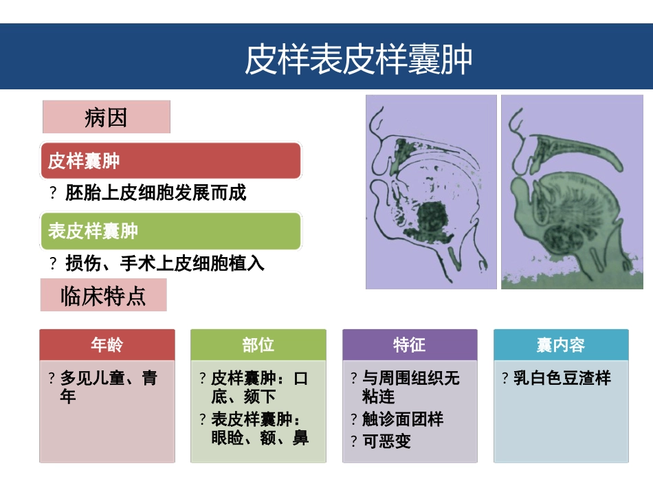 口腔颌面部囊肿及良性肿瘤_第6页
