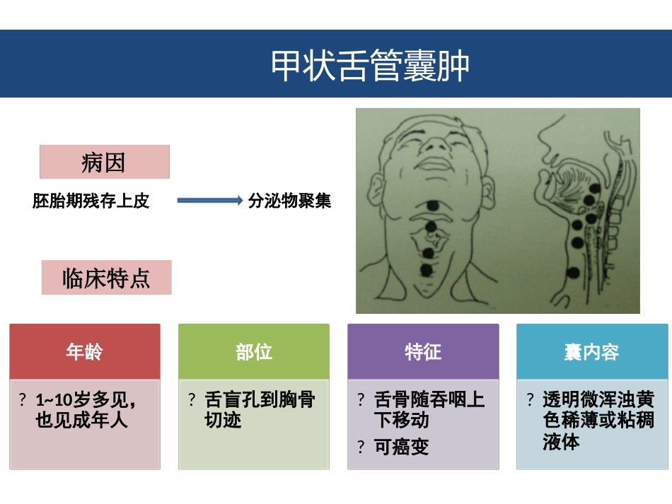 口腔颌面部囊肿及良性肿瘤_第9页