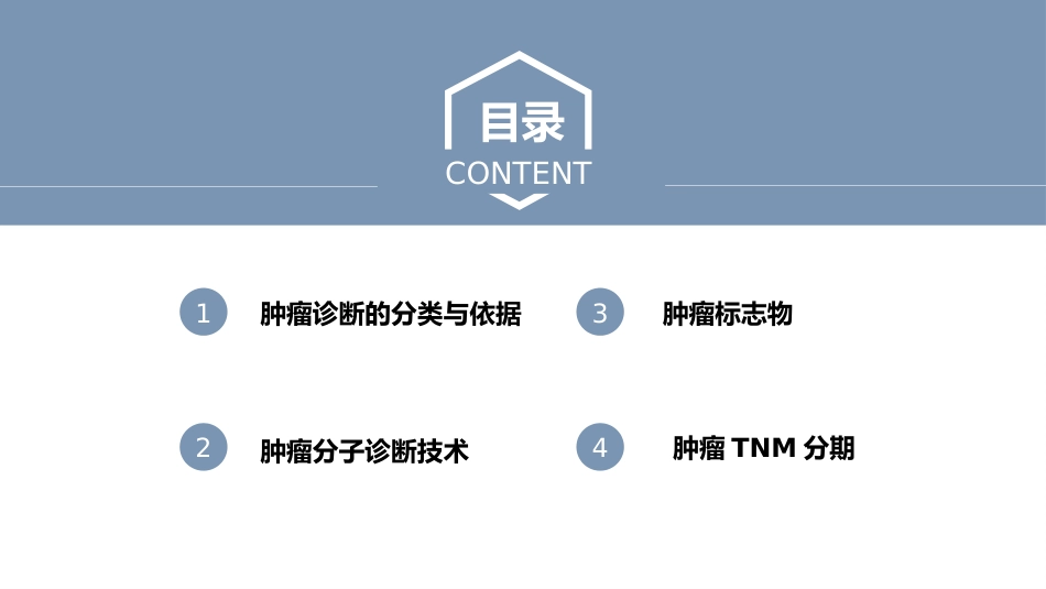 肿瘤的诊断与T-N-M分期_第2页
