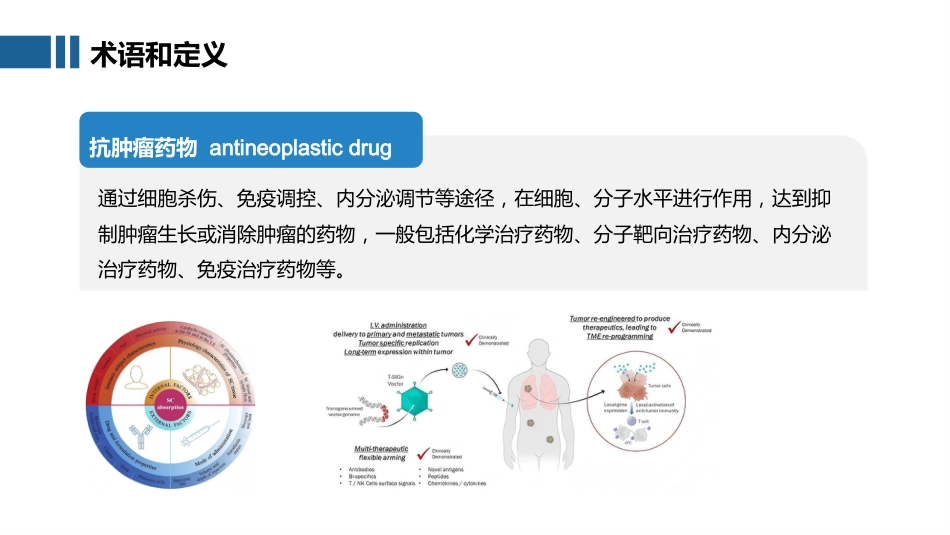 抗肿瘤药物静脉给药技术_第10页