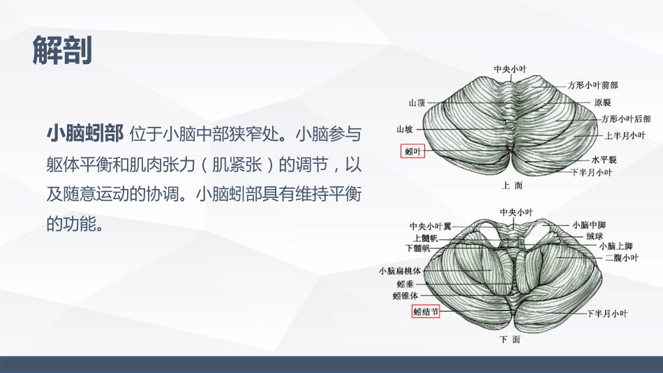 小脑蚓部占位的业务学习_第4页