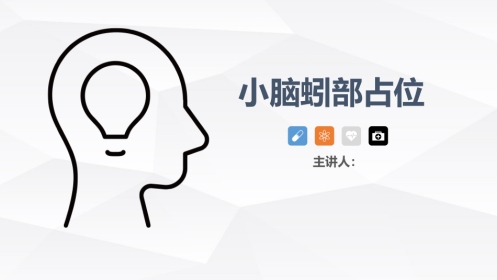 小脑蚓部占位的业务学习