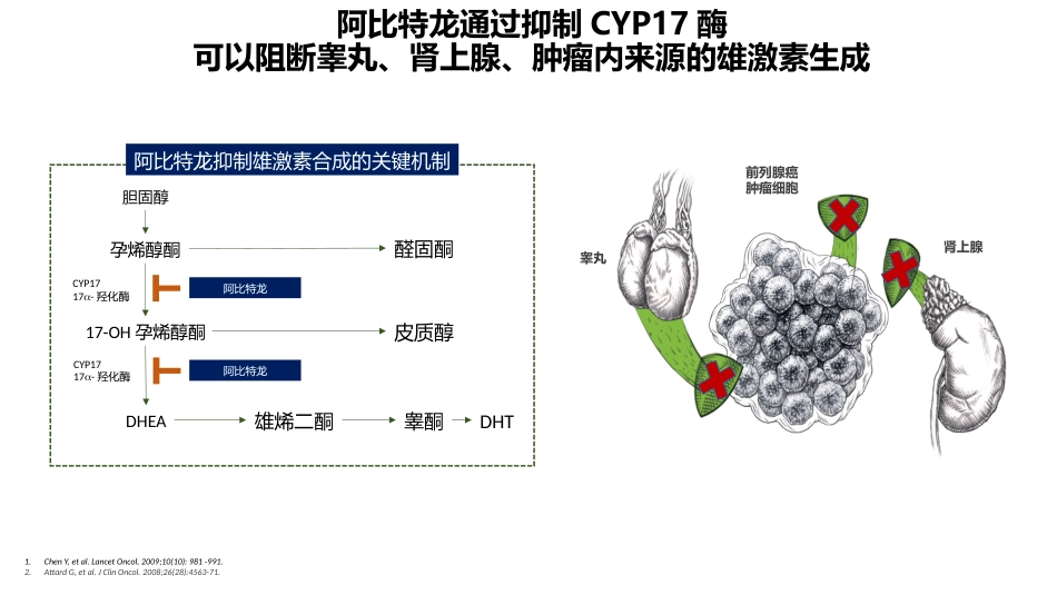 阿比特龙简介三期研究_第10页