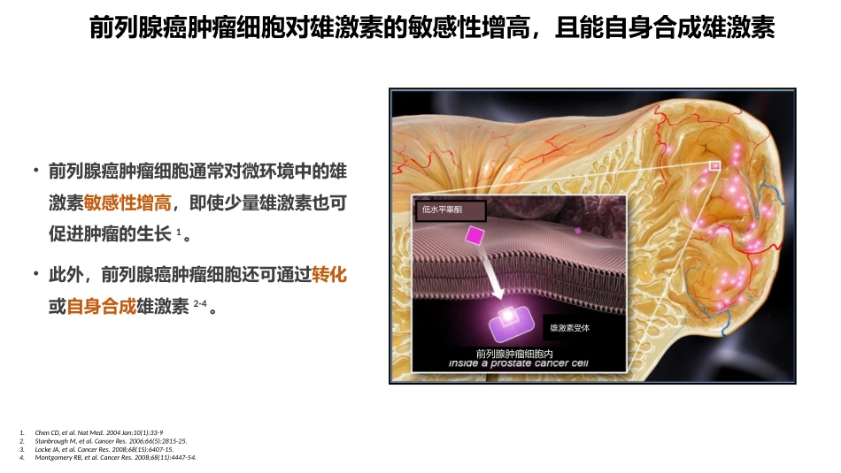 阿比特龙简介三期研究_第8页