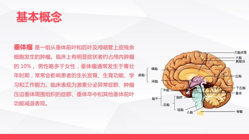垂体瘤病人护理_第4页