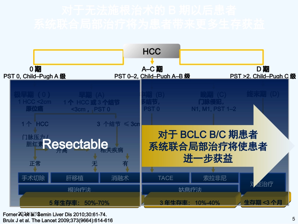 如何选择肝癌系统治疗药物_第5页