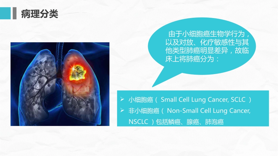 肺癌护理查房_第12页