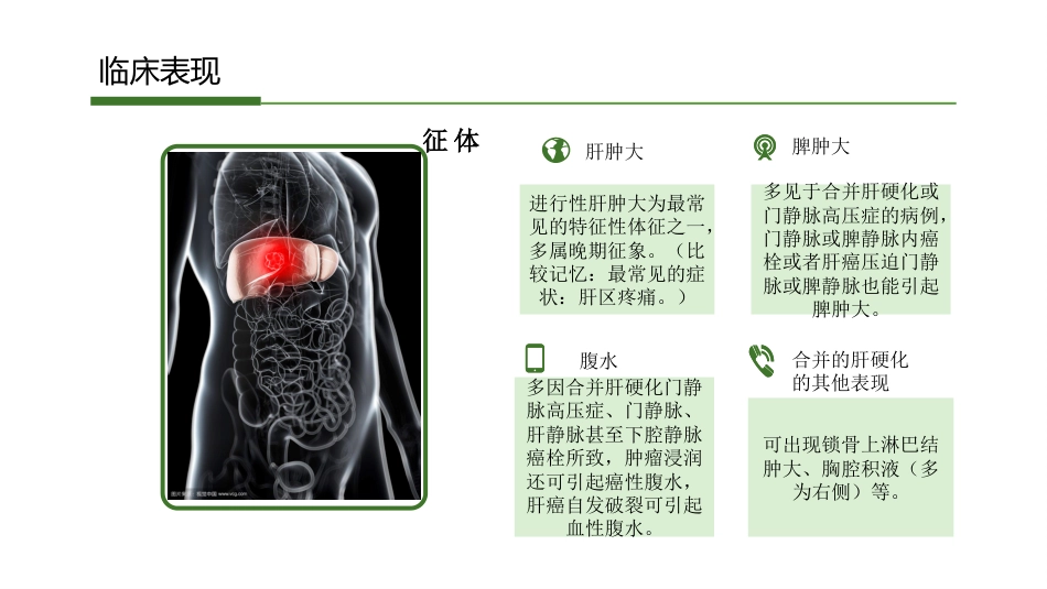 肝癌_第10页