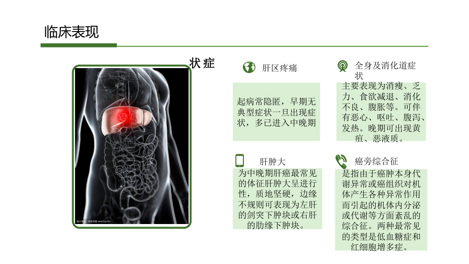 肝癌_第9页