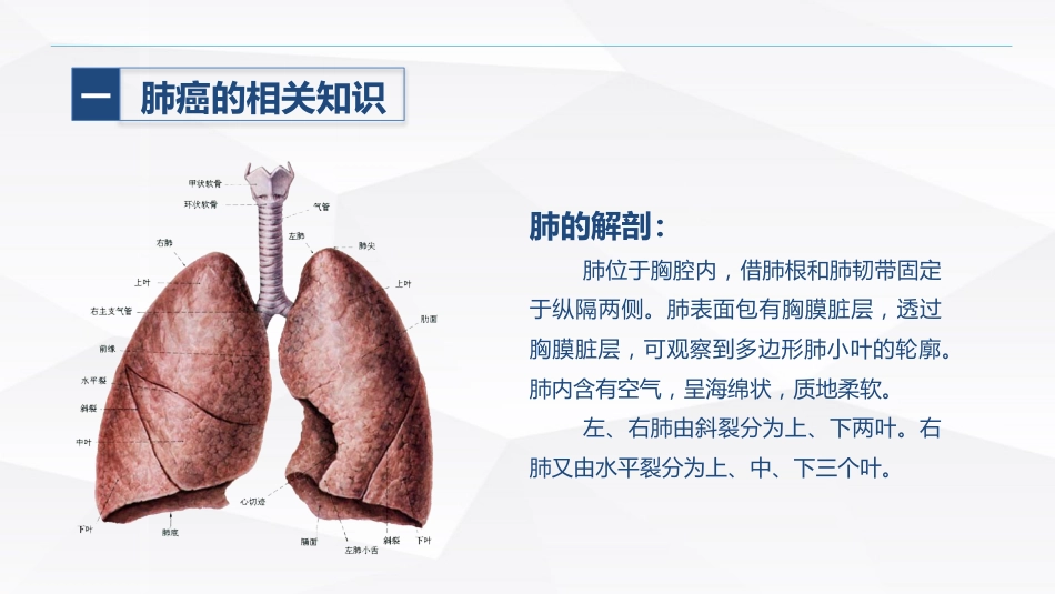 肺癌患者的护理_第4页