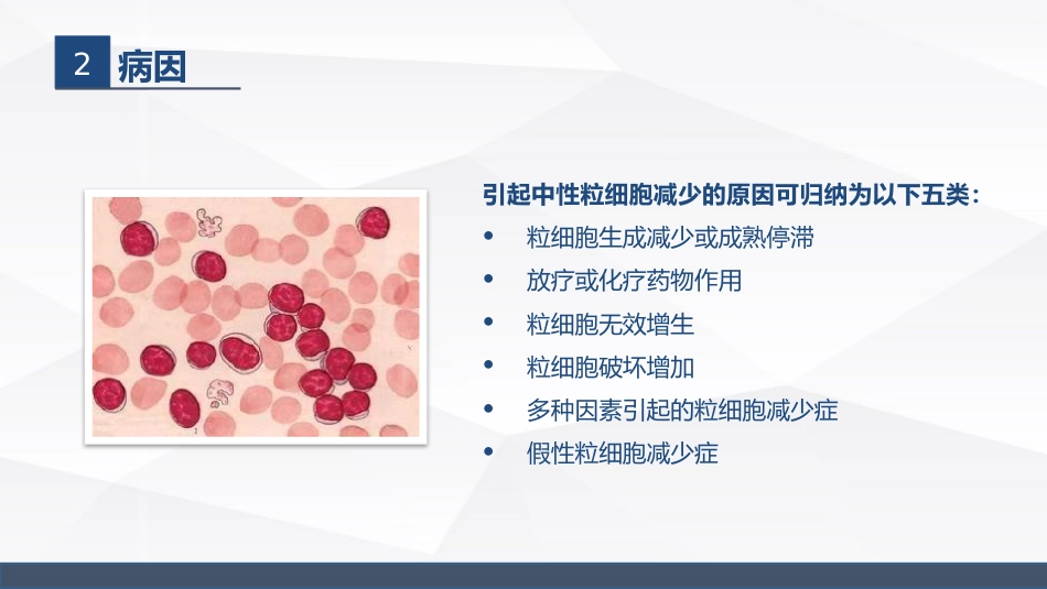 中性粒细胞减少伴发热的业务学习_第5页