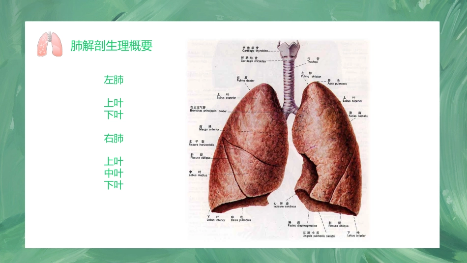 肺癌护理查房1_第2页
