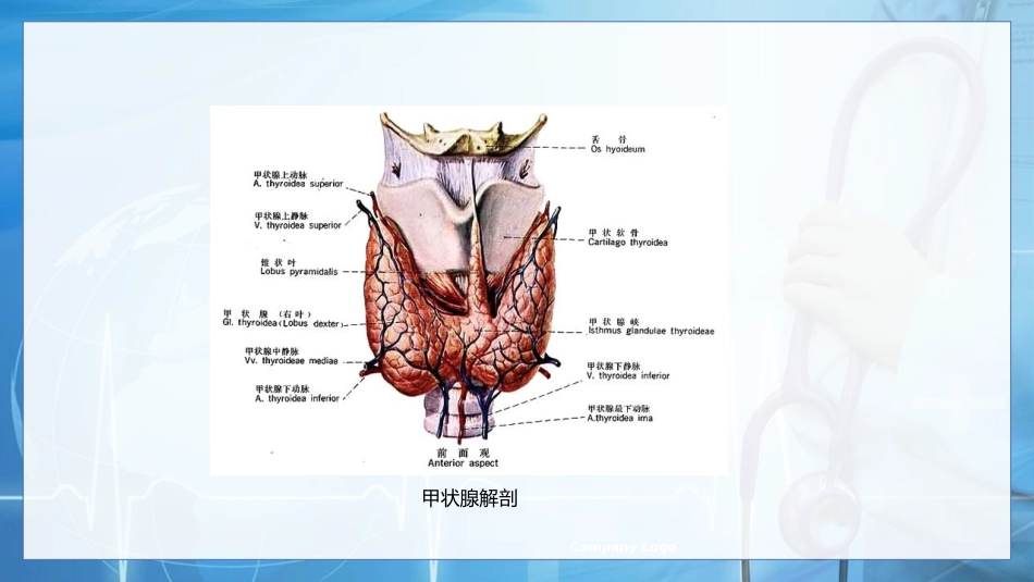 甲状腺癌的护理查房1_第7页