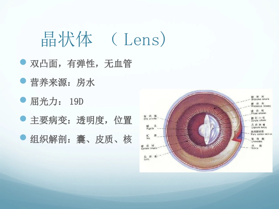 白内障_第2页