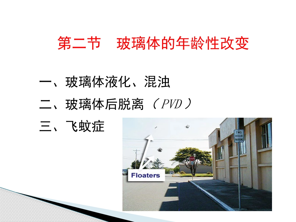 玻璃体病,视网膜病 PPT_第5页
