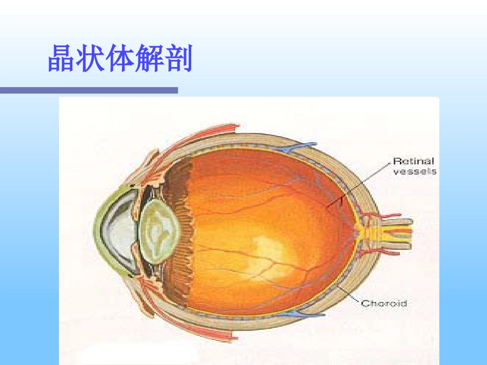 白内障及护理_第3页