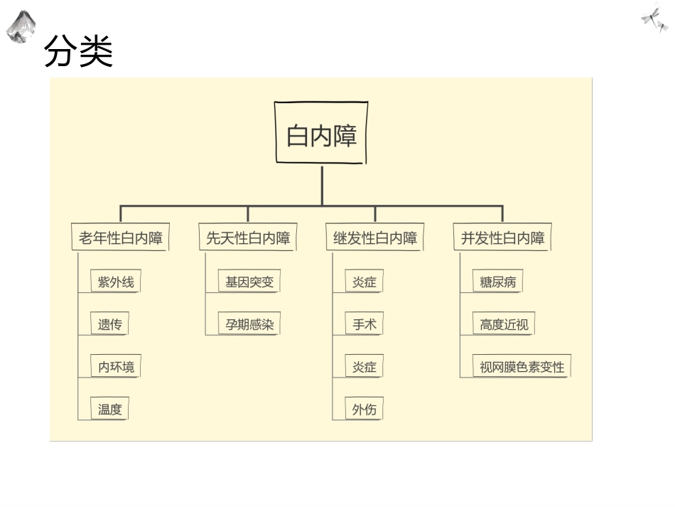 常见的眼科疾病科普_第11页