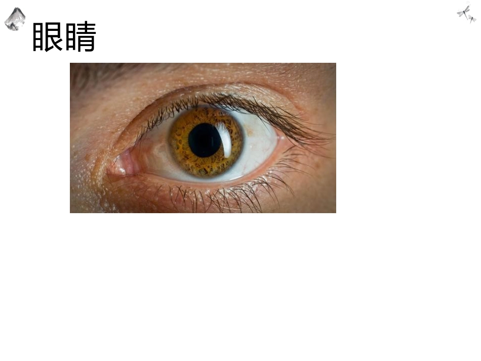 常见的眼科疾病科普_第2页