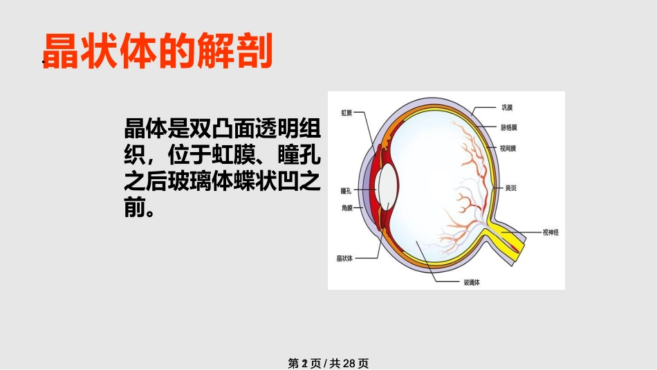白内障概述_第2页
