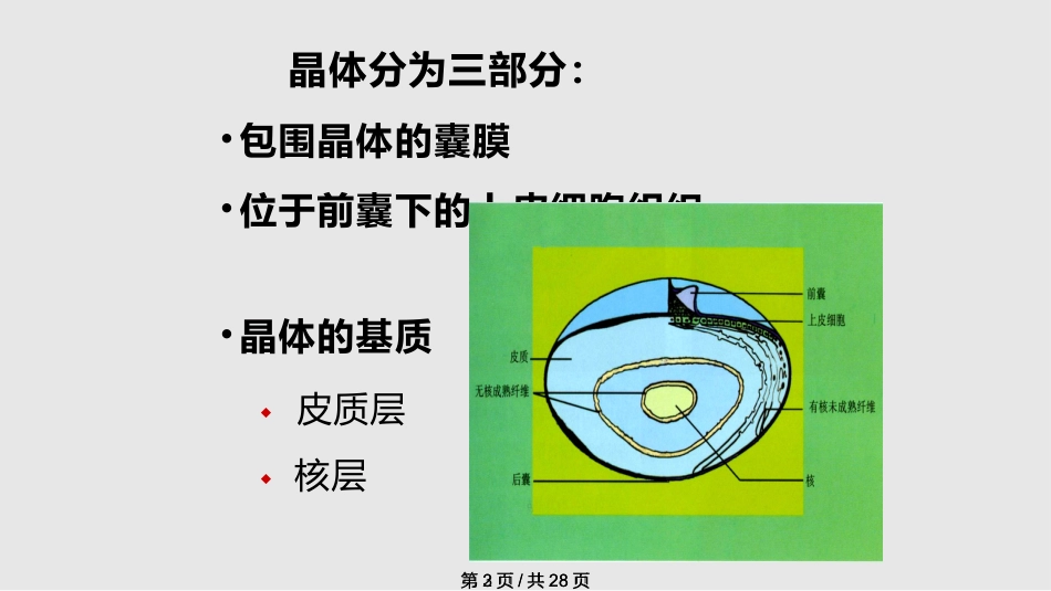 白内障概述_第3页