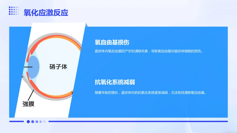 《老年性白内障》_第9页
