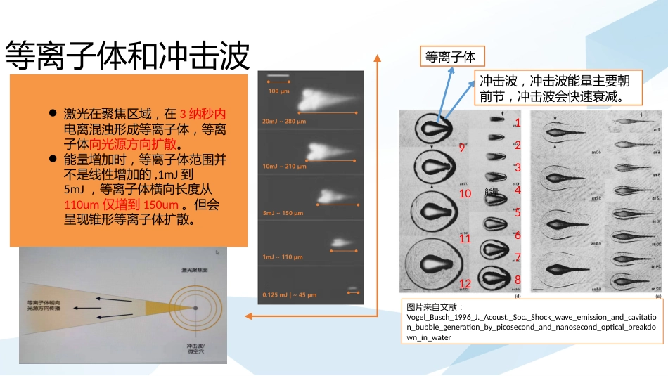 玻璃体混浊的激光消融治疗_第9页