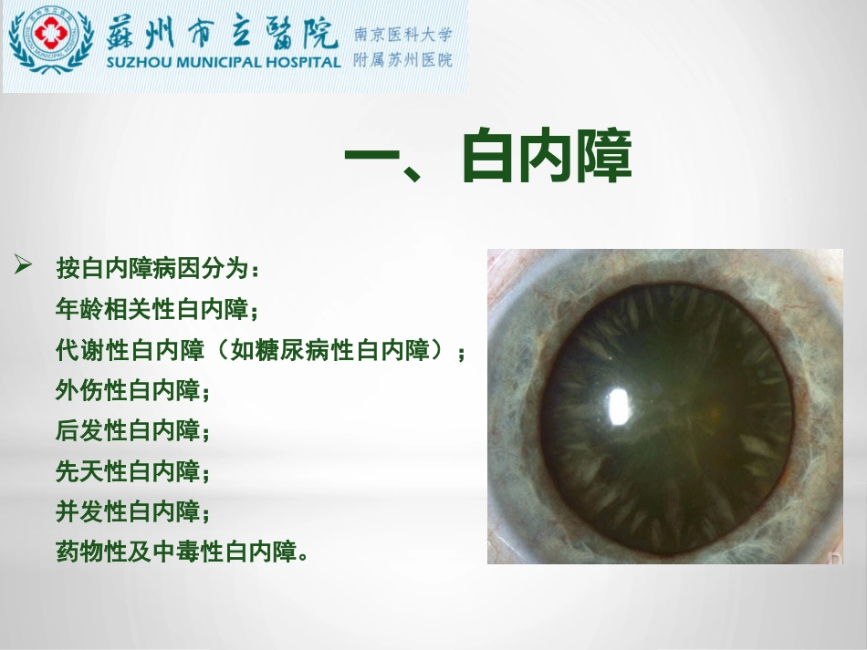 白内障与青光眼与胬肉与糖网_第2页