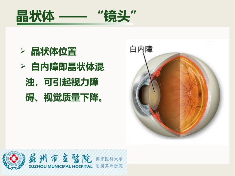 白内障与青光眼与胬肉与糖网_第4页