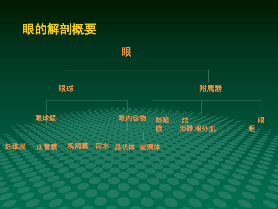 超声诊断学眼科疾病的超声诊断_第2页