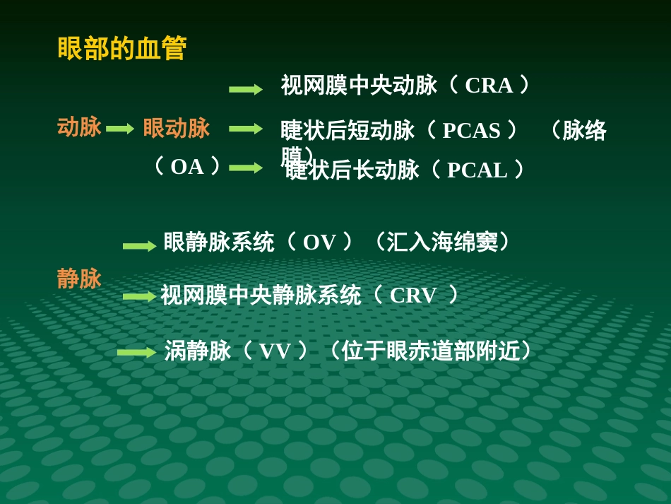 超声诊断学眼科疾病的超声诊断_第5页