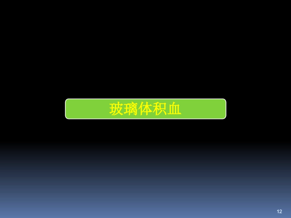 玻璃体病_第12页