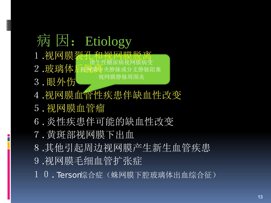 玻璃体病_第13页