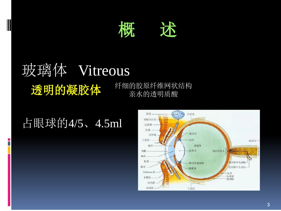玻璃体病_第3页