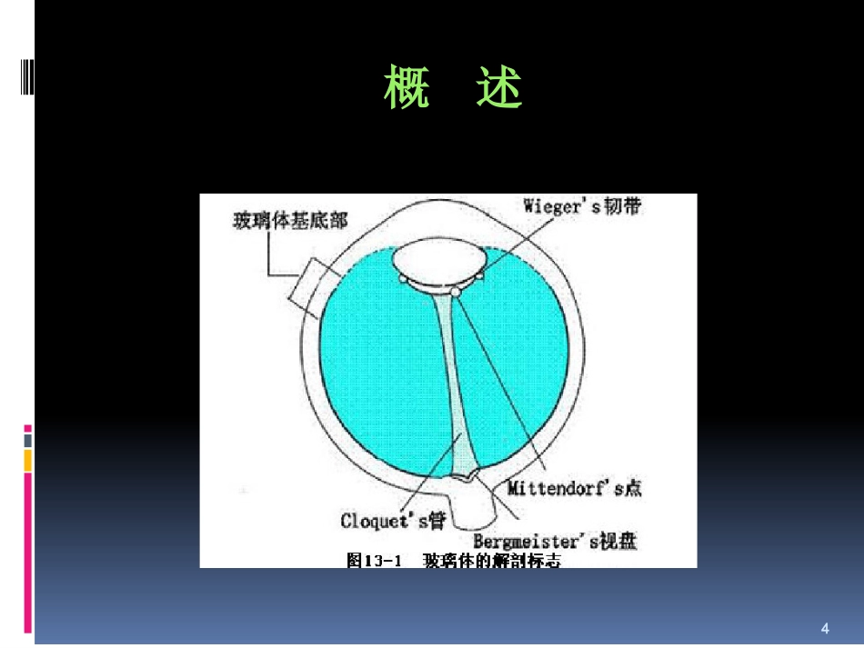 玻璃体病_第4页