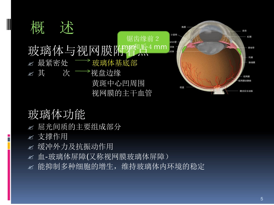 玻璃体病_第5页