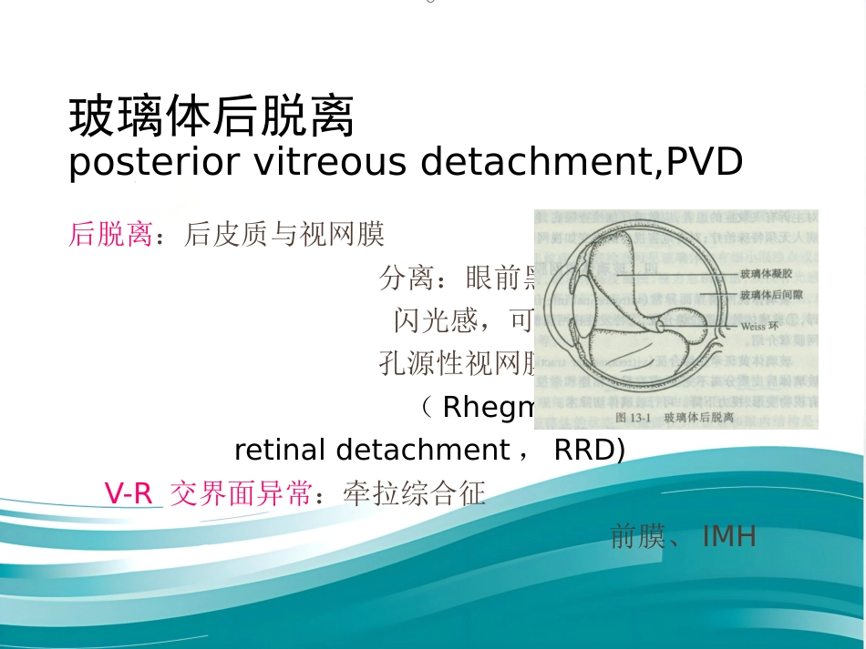 玻璃体-视网膜病-医学课件_第13页