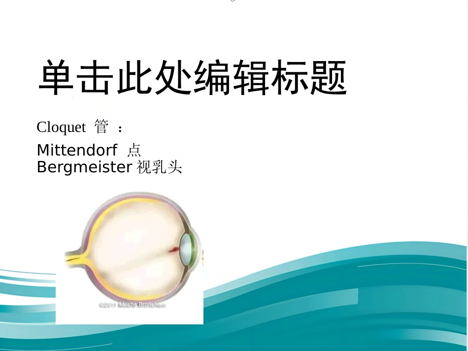 玻璃体-视网膜病-医学课件_第7页