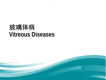 玻璃体-视网膜病-医学课件
