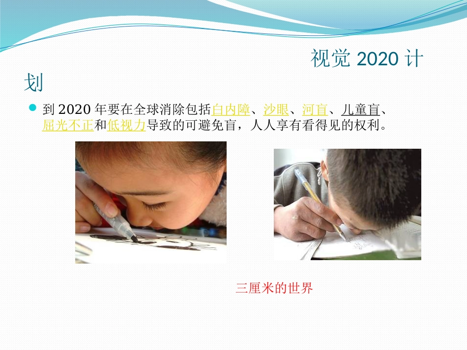 低视力概述医学PPT_第4页