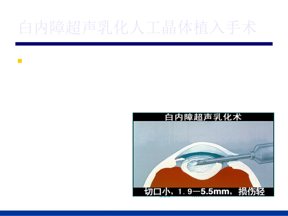 常见眼病_第9页
