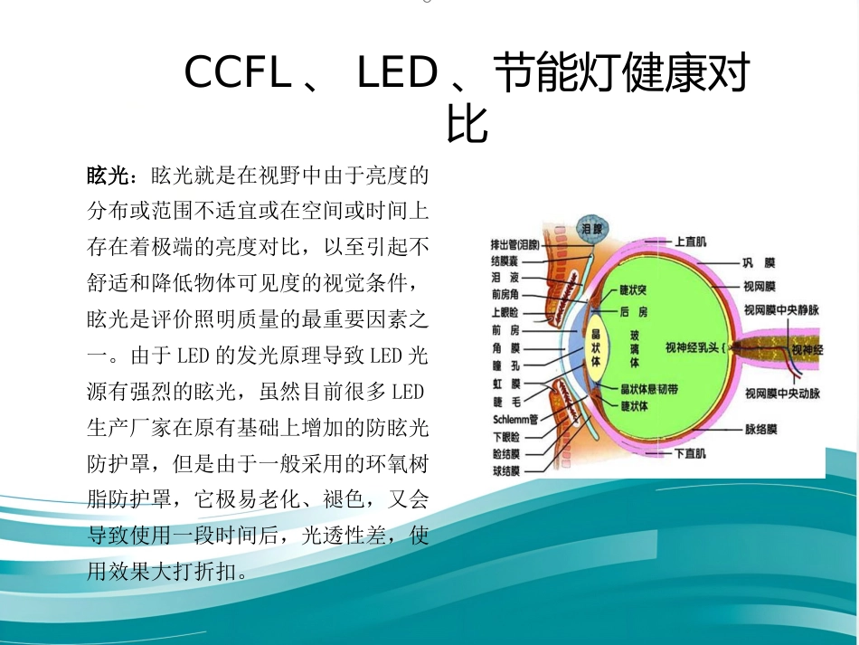 CCFL—源自台湾最新研发的护眼、护肤、节能新光源(鼎逸实业)_第5页