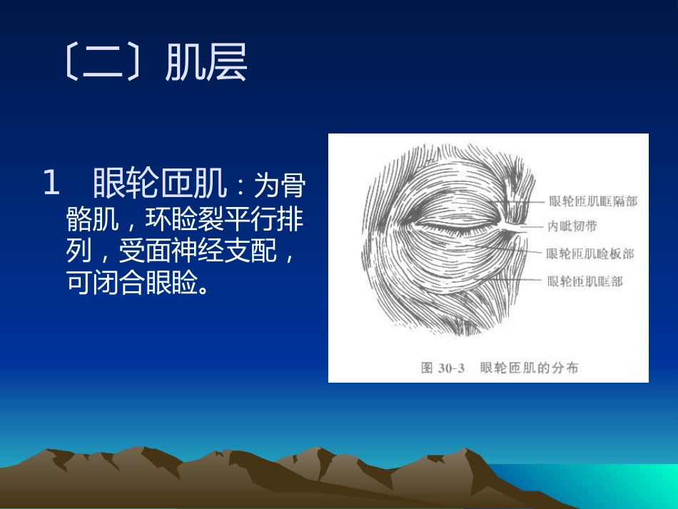 《眼整形与美容》_第10页