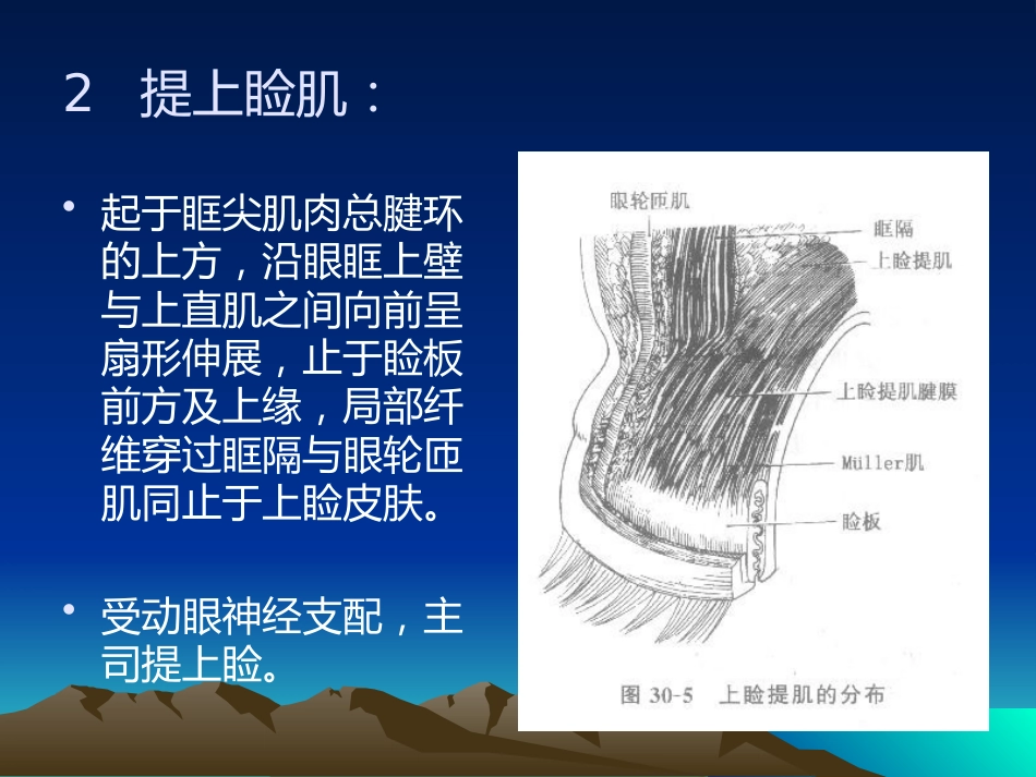 《眼整形与美容》_第11页