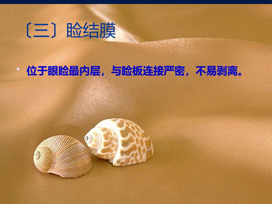 《眼整形与美容》_第13页