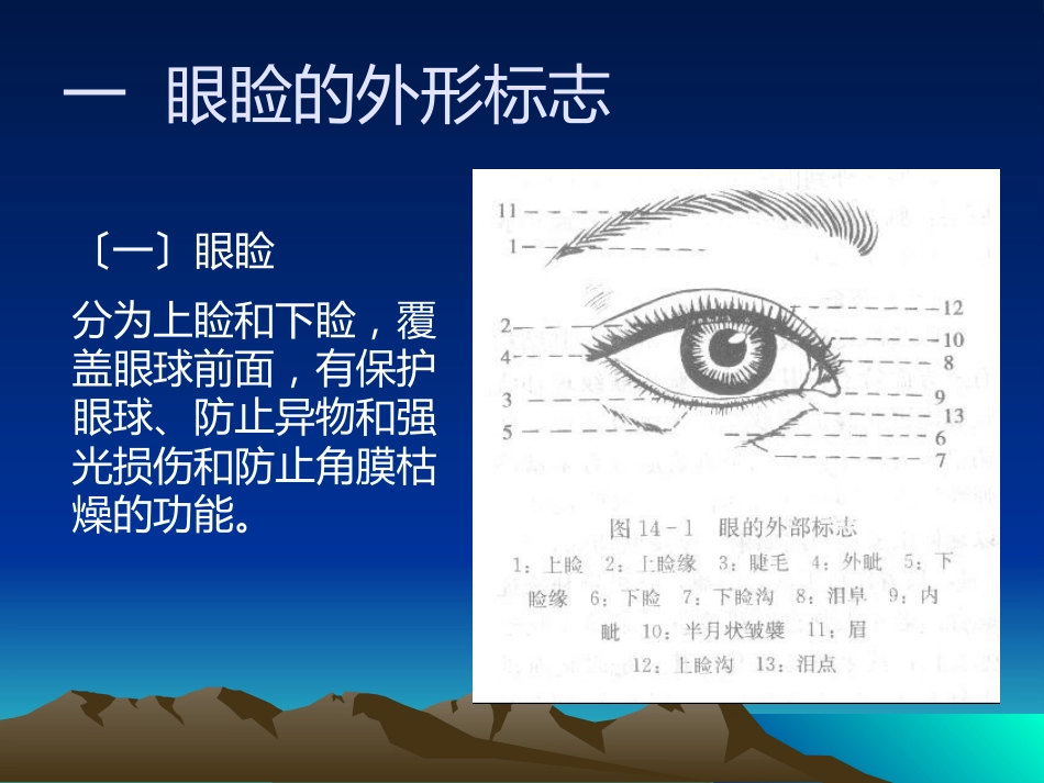 《眼整形与美容》_第4页