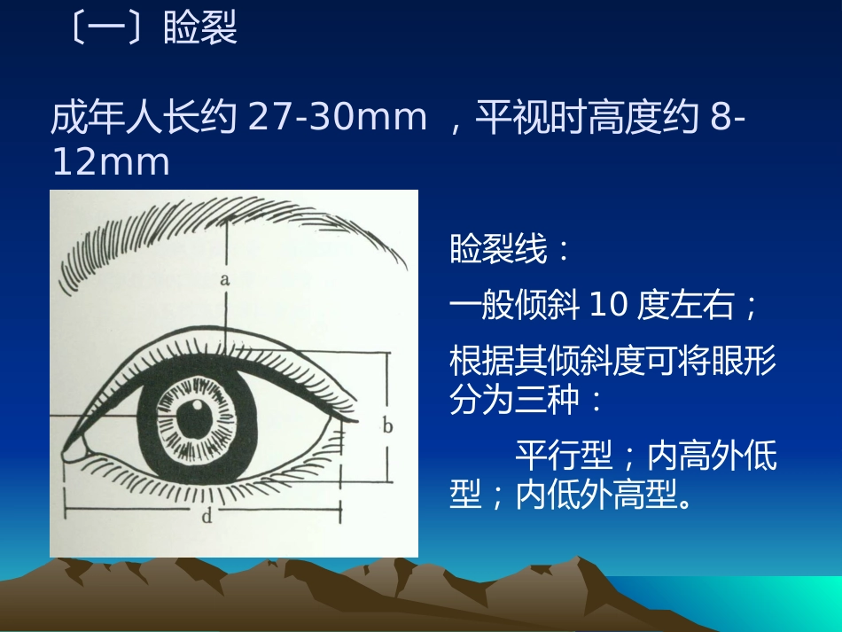 《眼整形与美容》_第5页