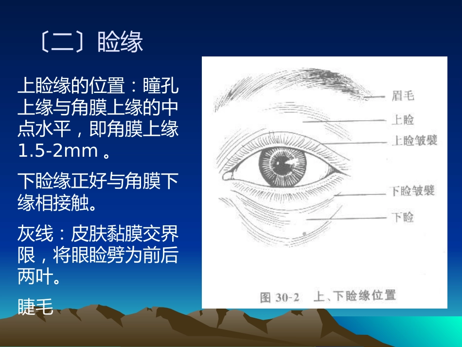《眼整形与美容》_第6页