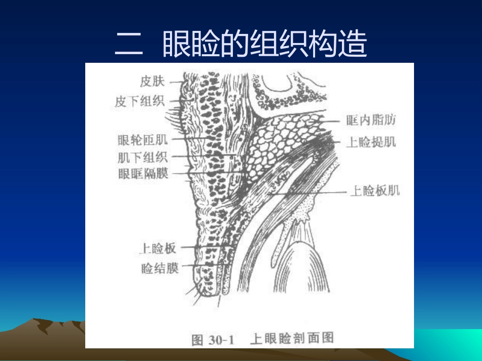 《眼整形与美容》_第8页