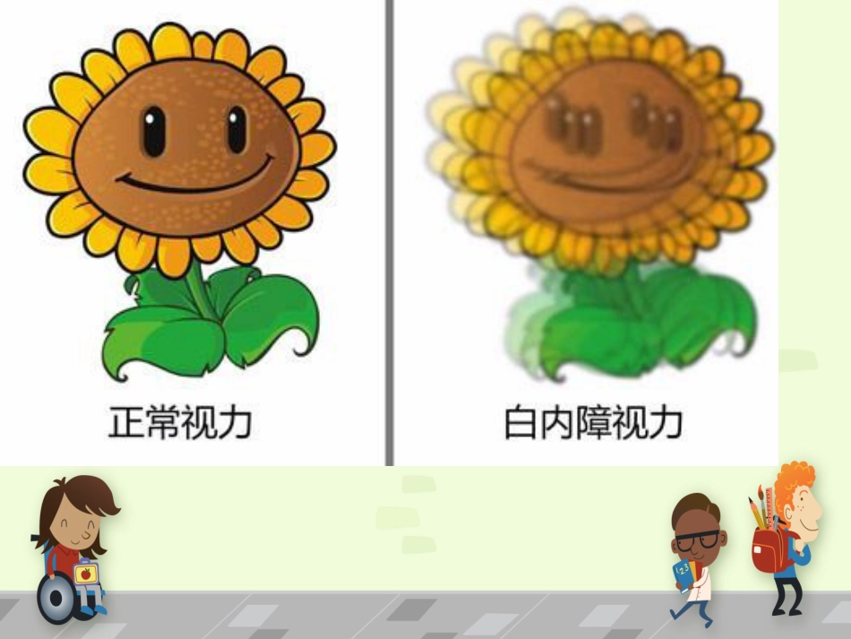 白内障 讲课_第12页